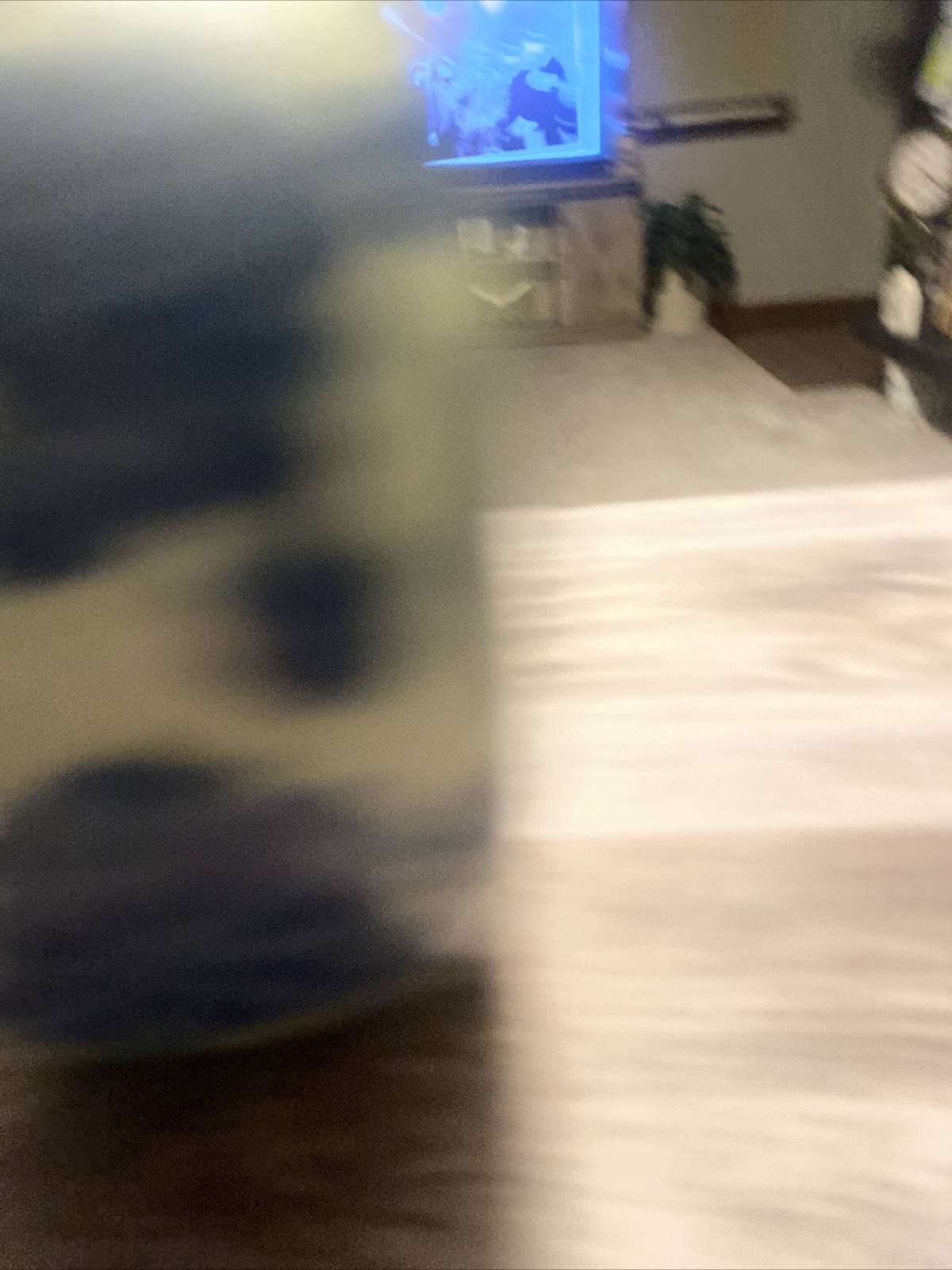 Bild 6 von 10