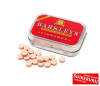 Barkleys Mini Mints Cinnamon Sugarfree 12 X15 Gr. Pastillen Mit Zimtgeschmack
