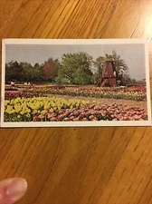 Postcard Tulip Time Holland Michigan American Oil Company 1969                #5