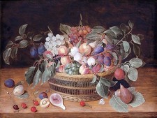 grapes plum cherry fruit J. Hulsdonck Tile Mural Backsplash Marble Ceramic