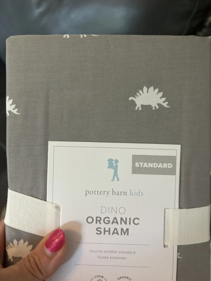 Disney pottery barn Pillow Sham dinosaur school boy Jurassic party star boy - - Image 3 of 4