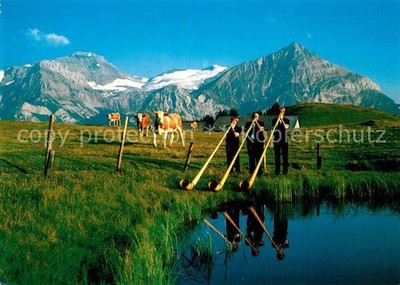 Alphorn Alphornbl?ser Gstaad Wispillen-Alp Wildhorn Geltengletscher