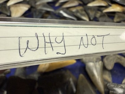 1980 s WHY NOT DEMO FUNK ROCK CASSETTE RARE UNDERGROUND