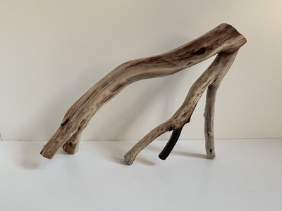 Manzanita Driftwood, Reptile Tank Decor,  Aquascape, Terrarium, Aquarium Wood