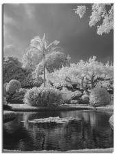 Converted Infrared IR 850nm Panasonic Lumix DMC-G3 Camera 8GB SD Card 132