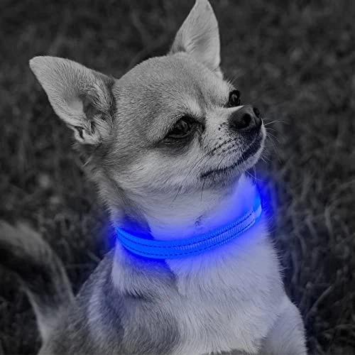 Light up Dog Collar, Rechargeable LED Dog Collar, Adjustable Cat Collar