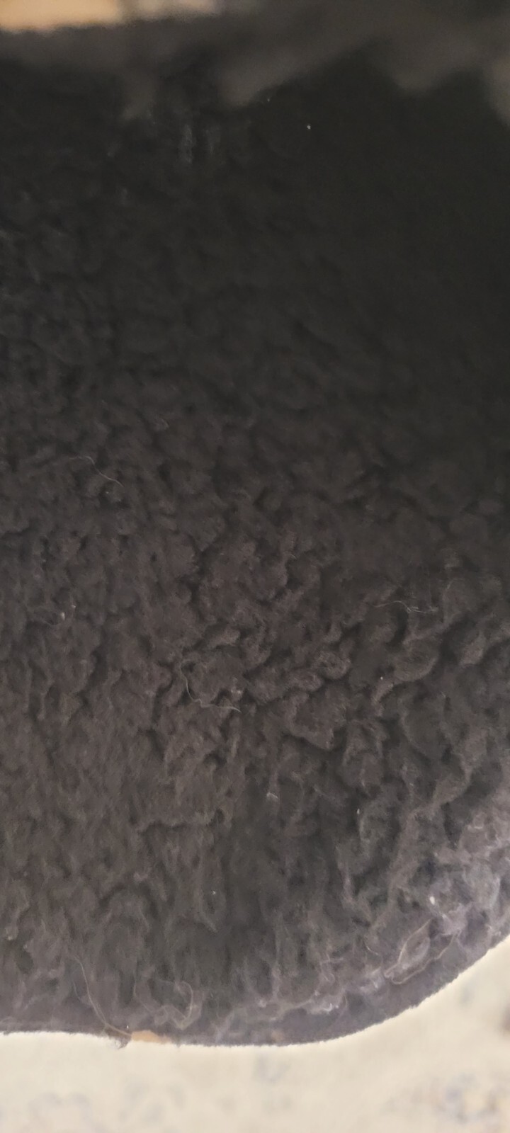 Picture 6 of 12
