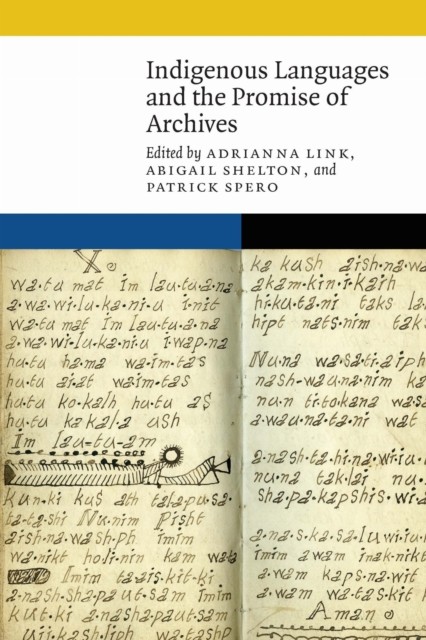 Indigenous Languages and the Promise of Archives by Adrianna Link PAPERBACK