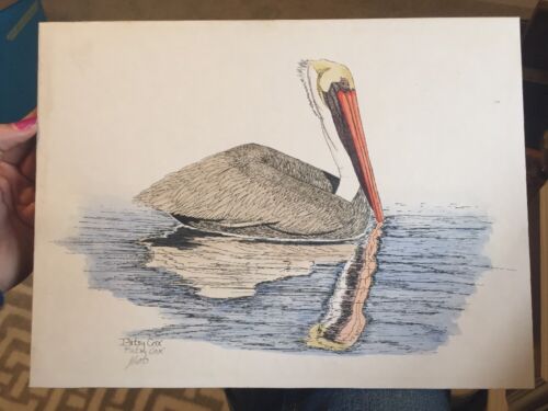 Hand Colored Pelican Art Print By Patsy Cox 1/100 Signed