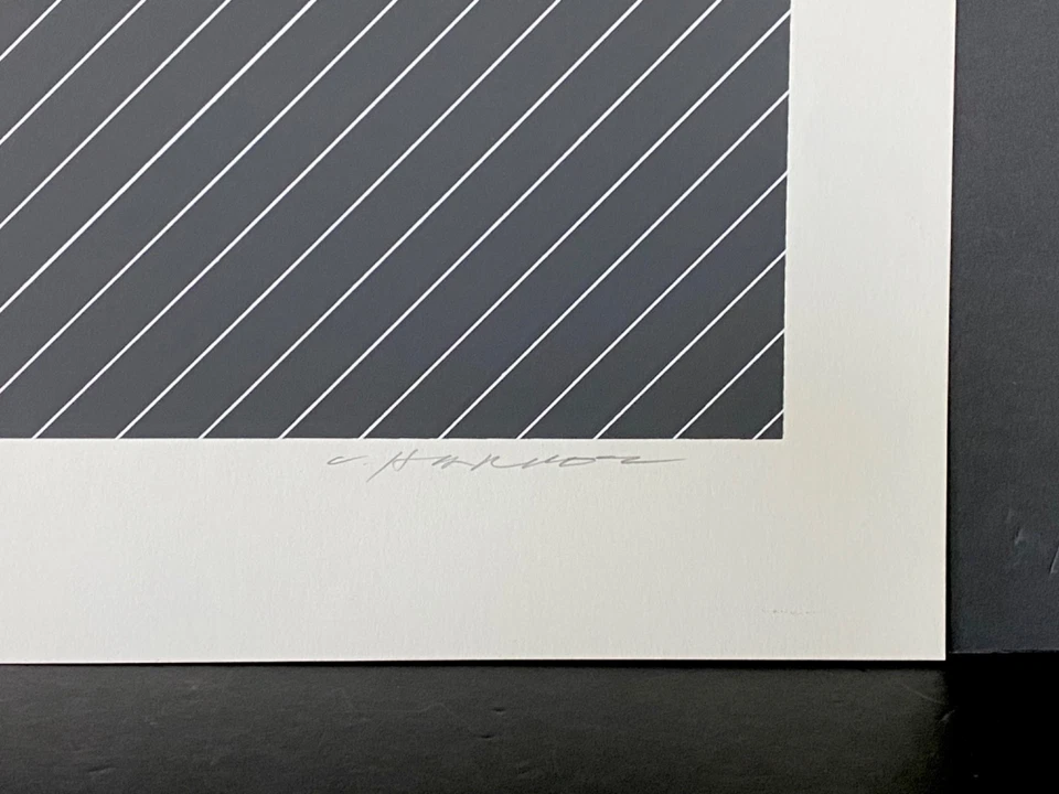 Charles Charley Harper 鹈鹕倾盆大雨复古印刷品 1972 年签名 #706 of 1500 — 第 4/4 张图片