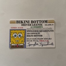 Bikini bottom driver license