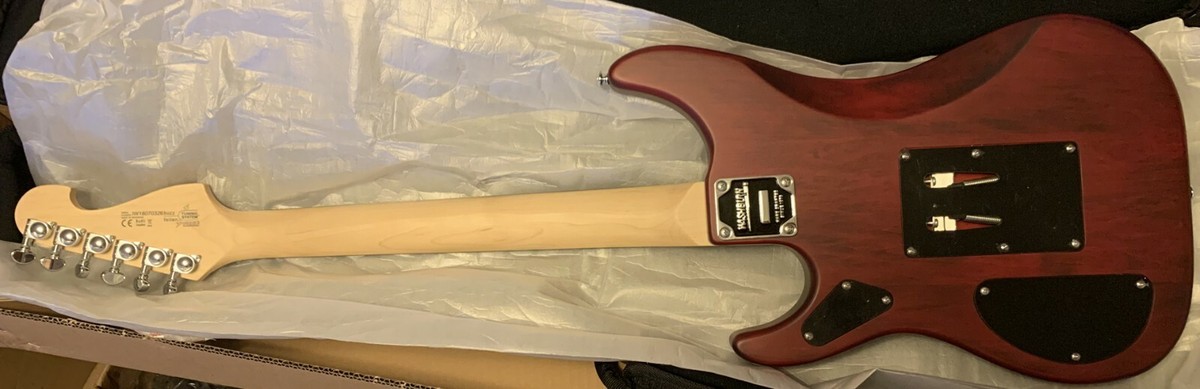 Washburn NUNO BETTENCOURT N2-NUNO PADAUK Electric Guitar