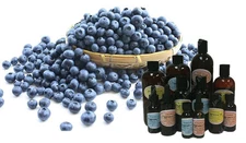 BLUEBERRY Fragrance Oil Soap Making Supplie Spa Aromatherapy