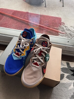 wile e coyote lebron shoes