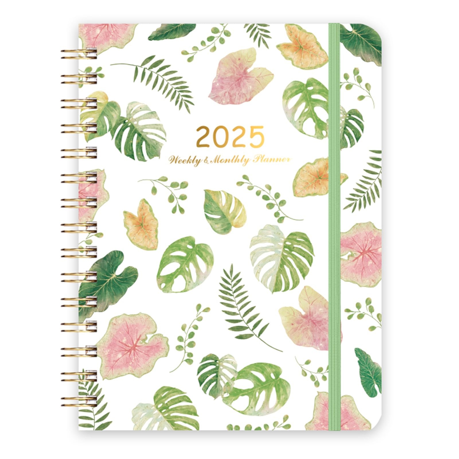 2025 Planner - Weekly & Monthly Planner JAN 2025 - DEC 2025-1 Year Monthly Pl...