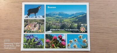Postkarte Saanen Gstaad Giferspitz Wasserngrat Wildhorn ungel_