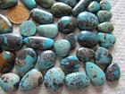97 Chinese Hubei Redskin Turquoise Cabs 1000 carat Cabochons Wholesale Lot — photo 5