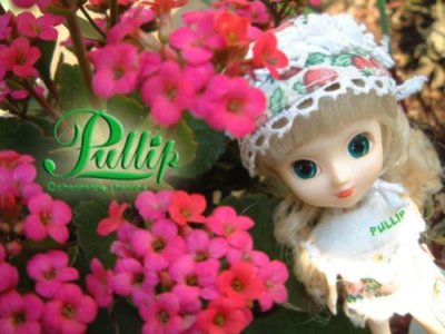 Jun Planning Groove Pullip Little Pullip Berry Berry F-810 | eBay