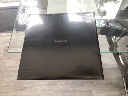 PVRIS - EVERGREEN LTD SILVER LP MINT/SEALED - Picture 2 of 4
