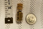Civil War,Andersonville Prison,gate/fence wood slivers in floating case w/stand — photo 4
