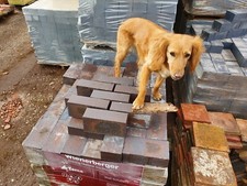 Staffordshire Blue Facing Brick 73mm x 230mm 2 7/8 x 9  Victorian 7000 in stock 