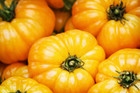 20 Graines de Tomate Cotelée Jaune