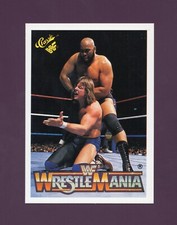 1990 WWF Wrestlemania Rowdy Roddy Piper, Bad News Brown #127