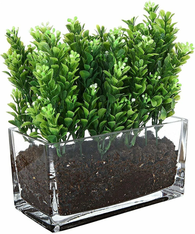 Rectangular Glass Vase, Trough Planter, Tabletop Terrarium for green atmospheres - Image 2 of 4