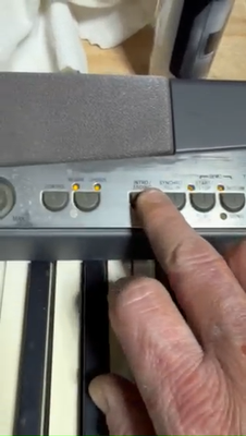 Casio Privia PX-300 Digital Piano, stand, accessories. Needs a new