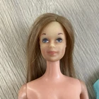 Standard Barbie 1973 Europe Stacey Face Vintage