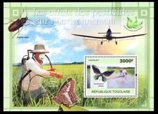 TOGO BL575 - Mariposa Ala de Pájaro "Ornithoptera allottei" (pb63298)