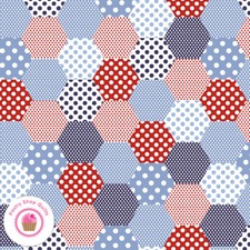 Riley Blake SET SAIL C10511M Blue Red Hexagons 4th of July America Quilt Fabric