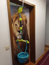 Bright Starts K10410 Deluxe Türhopser - Türkis