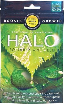 HALO HARPIN FROM NASA USA BOOST / Halo / Canna