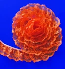 ORANGE~3 Inch Wide Ruffled Floral Lace Trim~By 5 Yards
