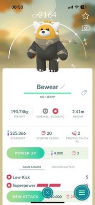 Pokémon Go | Shiny Bewear wearing a wilderness cape - Mini PTC 100K Stardust