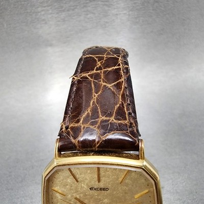 Citizen Exceed Watch Men 29mm Champagne Dial Gold Tone 2730-272544