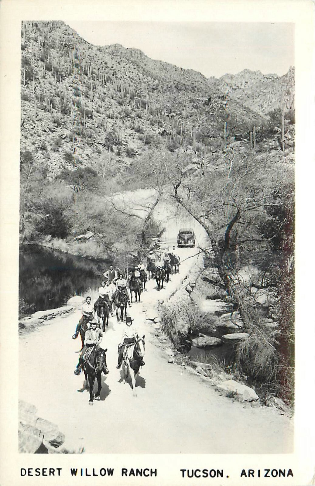 1940s Tucson Arizona Desert Willow Ranch horseback auto RPPC Postcard 25-3158