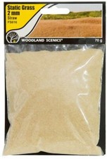 Woodland Scenics New 2024 Static Grass Straw 2mm Any Scale FS616