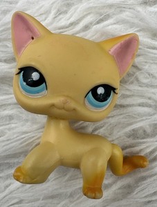 Littlest Pet Shop Chat à poil court authentique LPS Brooklyn Brooke #339 / Main 5 / vintage Hasbro - Canada