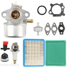 274896 Carburetor For Briggs & Stratton single cylinder family 1BSXS1901VF