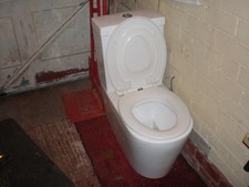 toilet with dual seat for big and small bums