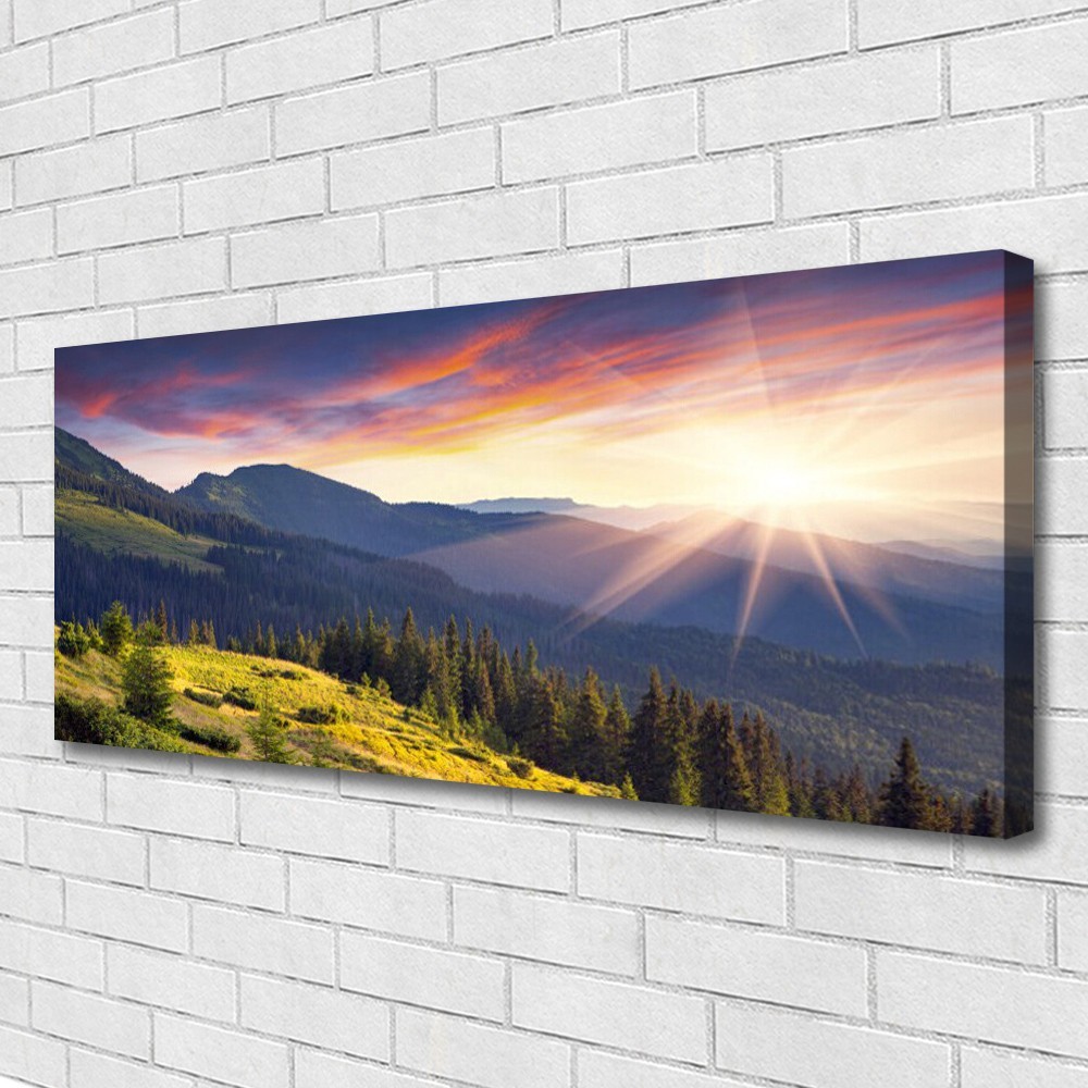 Tableau paysage montagne forêt soleil 125x50 cm pour agrandir visuellement votre salon