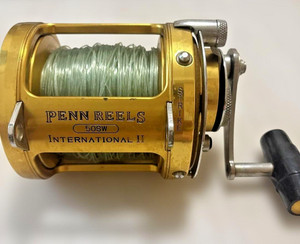 Penn International 50 SW | eBay