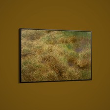 Bruno Liljefors - Nido del cecchino - Stampa artistica su carta o tela