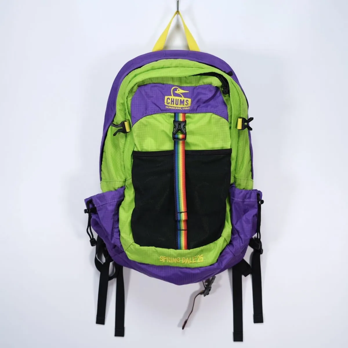 CHUMS Spring Dale 25 Backpack From JAPAN