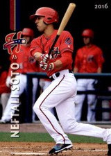 2016 Harrisburg Senators Grandstand 25 Neftali Soto Puerto Rico PR Baseball Card