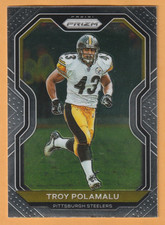 Troy Polamalu