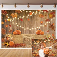 Fall Pumpkin Photography Backdrop Autumn Harvest Hay Glitter Wooden Background