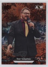 2023 Upper Deck AEW All Elite Wrestling Crew Dynamite /249 Tony Schiavone 0n3v